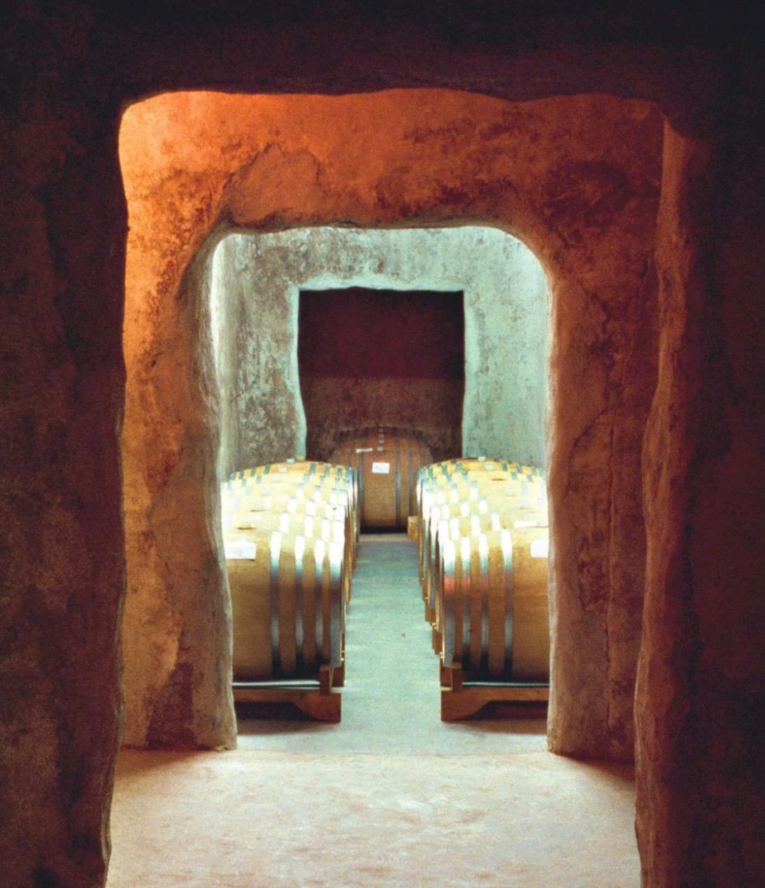 Interno di una cantina pugliese — botti e tradizione vinicola